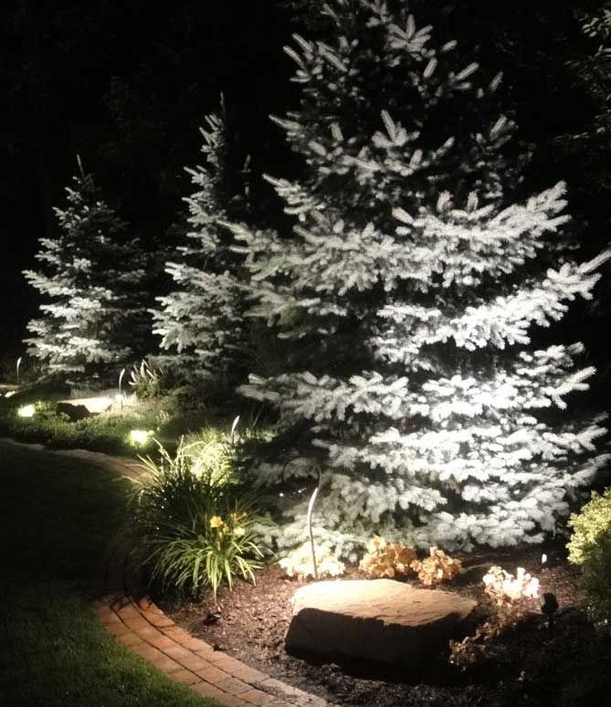 lampy do oświetlenia świerka w ogrodzie
