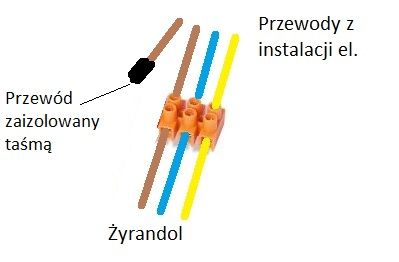 buzzfeed internetowy quiz randkowy