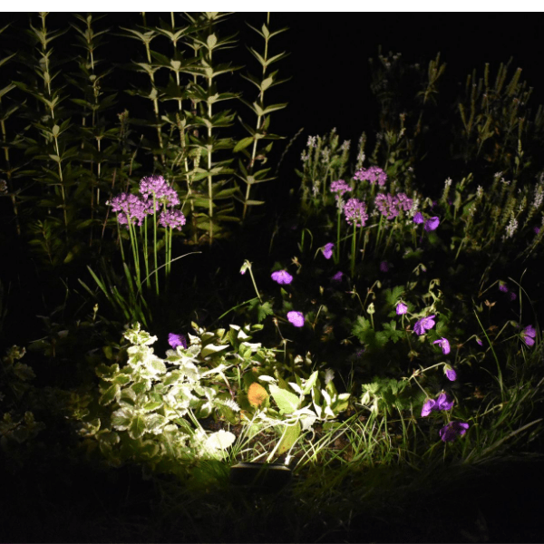 reflektorek do oświetlenia kwiatów w ogrodzie