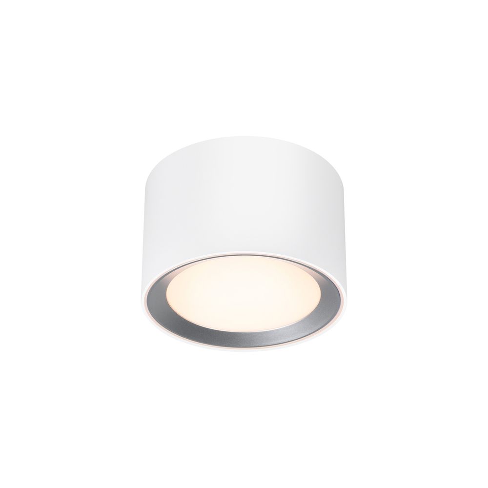 Lampa sufitowa Landon 8 - LED, biała