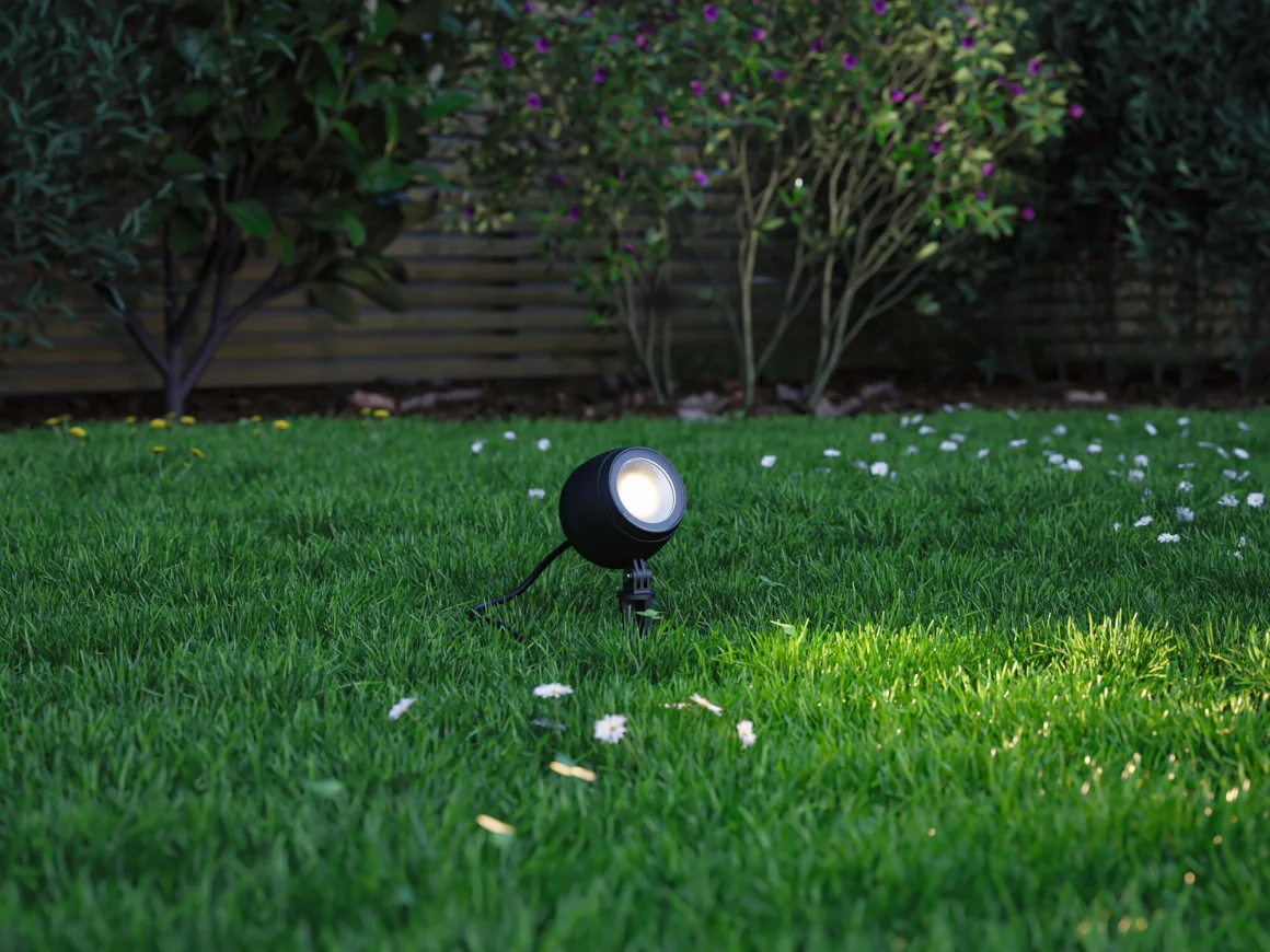 reflektor ogrodowy do podświetlenia roślin
