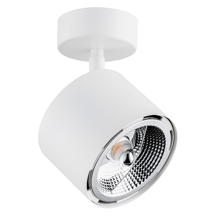 Biały regulowany reflektor halogenowy Clevland - spot GU10 LED AR111