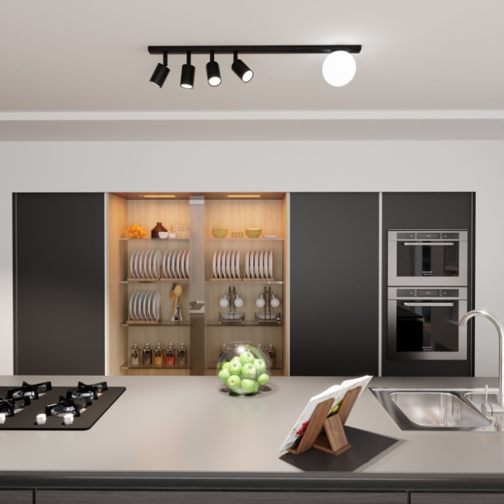 Czarna lampa sufitowa Baster 5 - kula i 4 reflektory