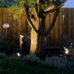 Czarny reflektorek dogruntowy Prit IP55 - do oświetlenia drzew