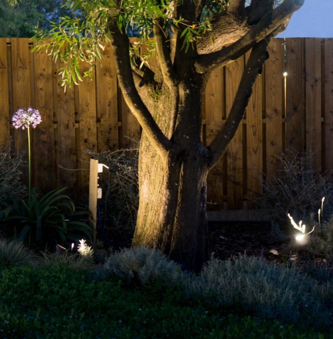 Czarny reflektorek dogruntowy Prit IP55 - do oświetlenia drzew