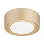 Złoty spocik sufitowy Elora LED GX53 - płaski
