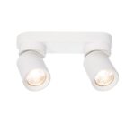 Biały plafon sufitowy Pointa 2 - ruchome spoty