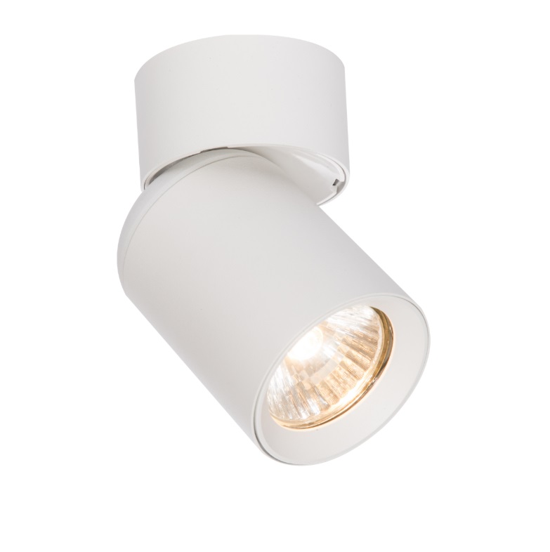 Biały spot sufitowy Pointa - ruchomy reflektorek