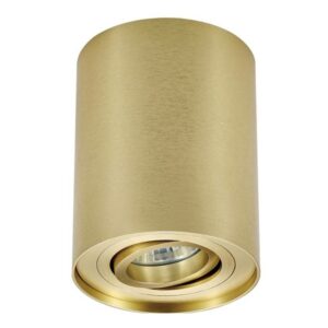 Złoty spot sufitowy Rondoo - regulowany kierunek światła