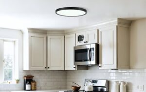 Nowoczesny czarny plafon Meteor 23 LED - z aplikacją i głosem