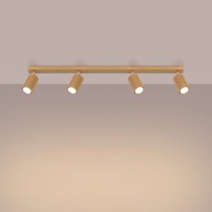 Elegancka listwa sufitowa Karbon 4L - 4 złote ruchome spoty