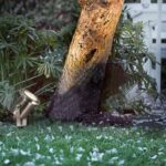 Reflektor do oświetlania drzew Taurus IP54 - wbijany w ziemię